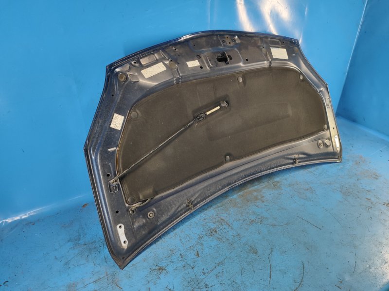 Hood of the Toyota Prius - 30 09-17