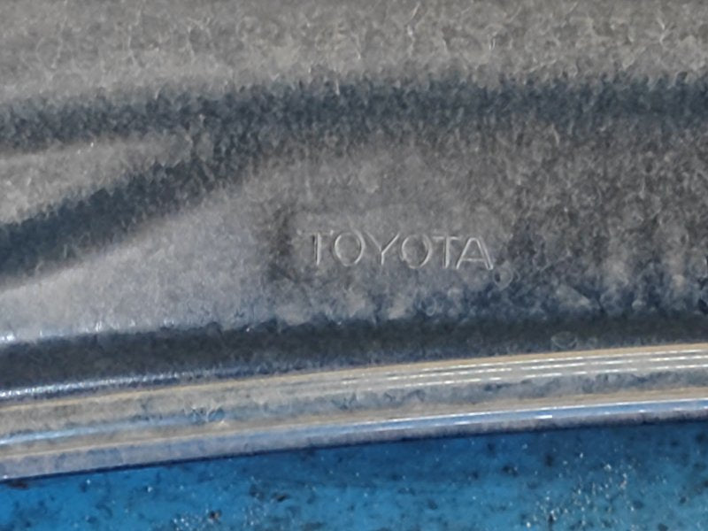 Hood of the Toyota Prius - 30 09-17