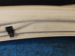 Hood of the Toyota Prius - 30 09-17