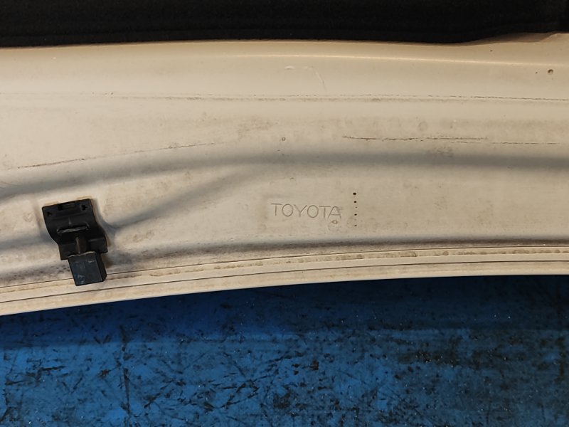 Hood of the Toyota Prius - 30 09-17