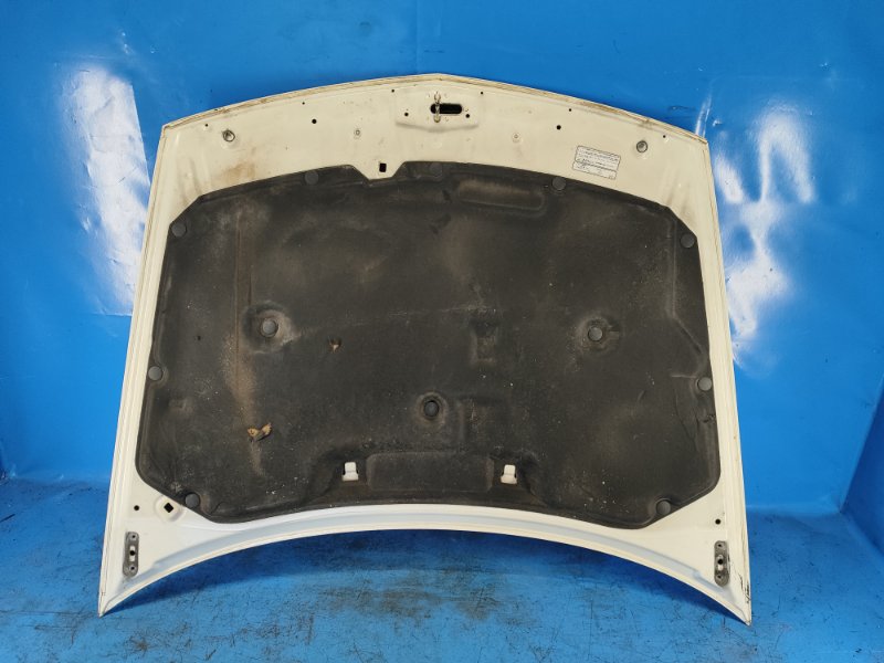 Hood for Honda Accord Cu8/TSX 08-14