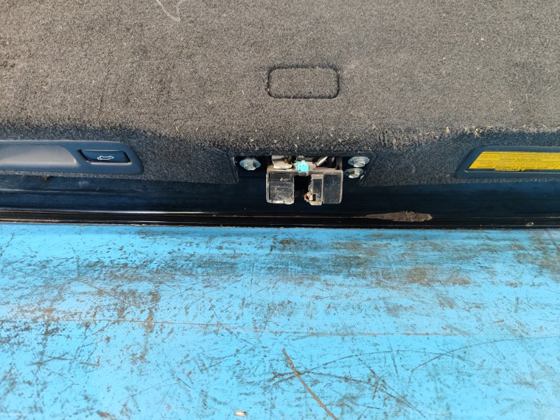 LEXUS RX350/450 09-15 Trunk Lid