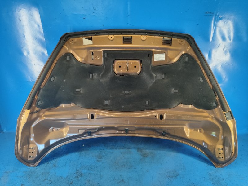 Ford Escape Hood 12-19