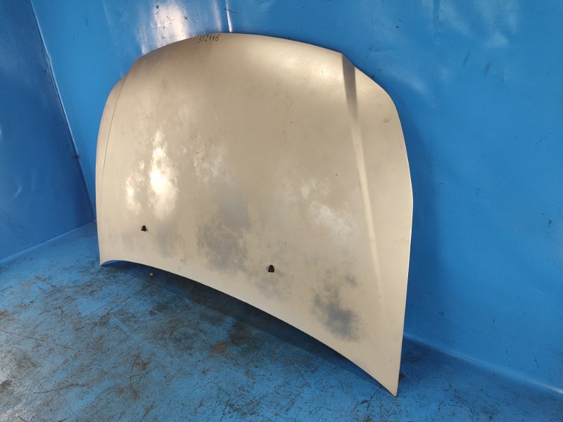Hood SUZUKI SX4 06-13 2009