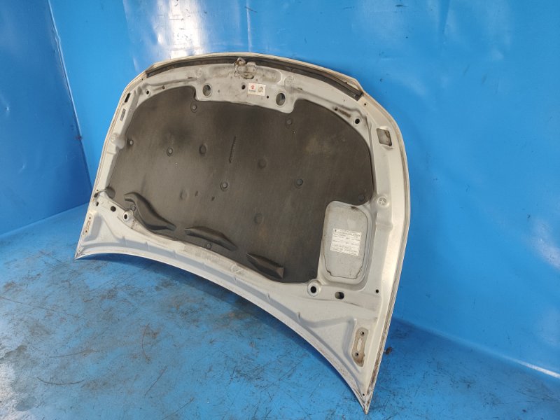 Hood SUZUKI SX4 06-13 2009