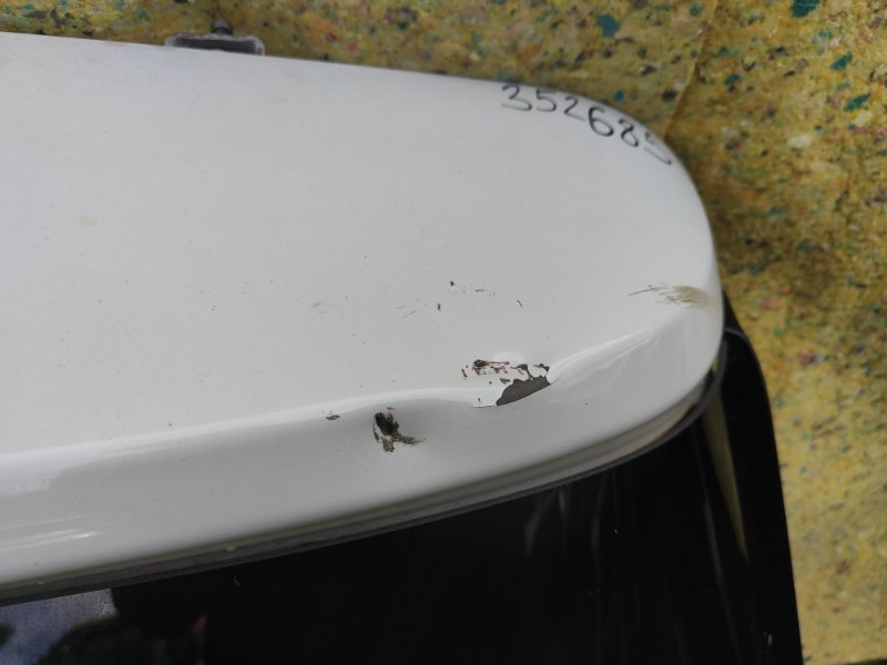 Ford Escape trunk lid 12-19 2018