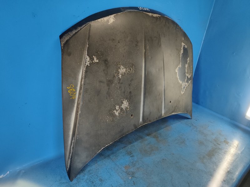 Hood of the 2012 Dodge Journey 08-20