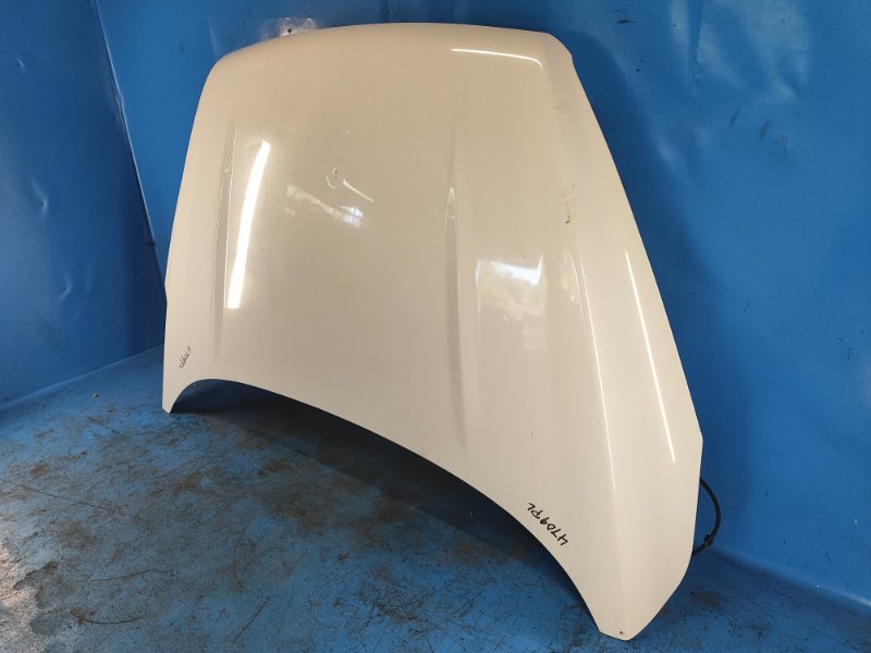 Hood FORD ESCAPE 12-19 2018