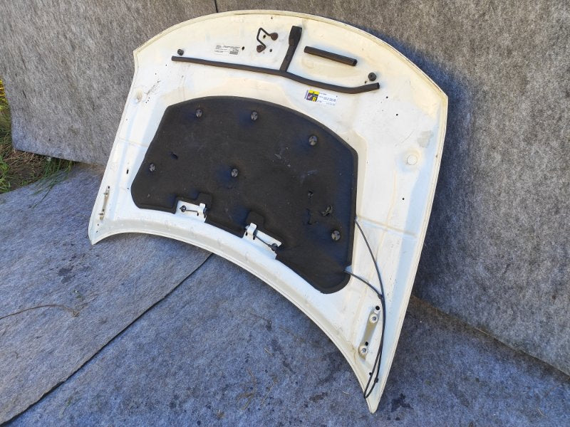 Hood of the 2016 Dodge Journey 08-20
