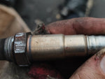 Lambda probe for Ford Escape 12-19 2018