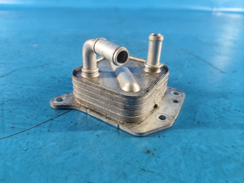 Engine Heat Exchanger for Nissan X-TRAIL/Rogue T33 2021