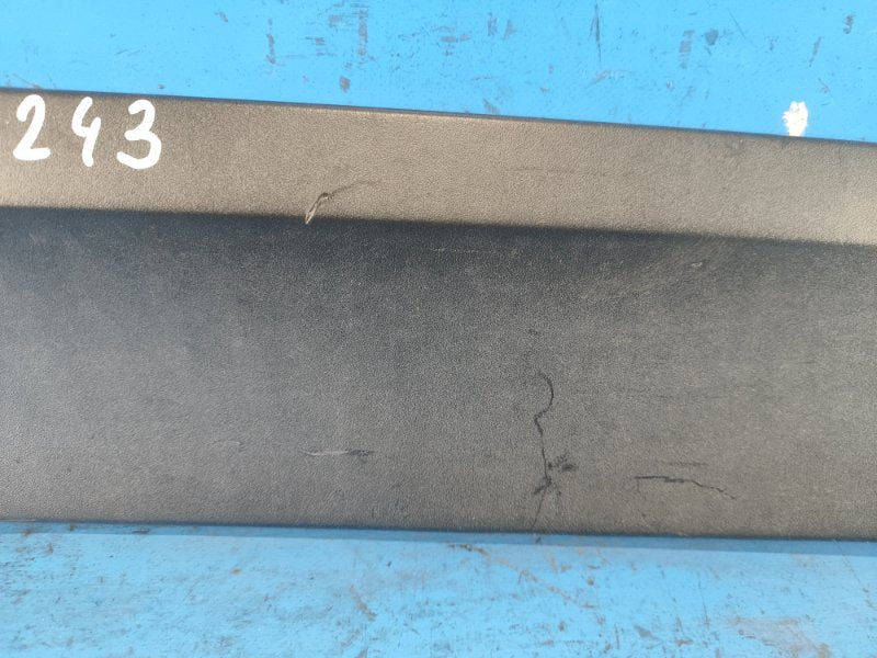 Door molding BMW X3 (F25) 11-17 Left. Rear.